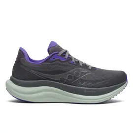 Saucony Triumph 23 Gtx Γυναικεία Παπούτσια